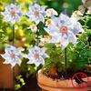 Colorful Bird Repellents Windmill Outdoor Wind Spinners for Yard Garden Lawn Laser Sparkly Reflective Pin Wheels Bird Repeller