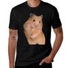 Hamster Meme With Peace Sign TShirt Holiday Simple Tee Shirt