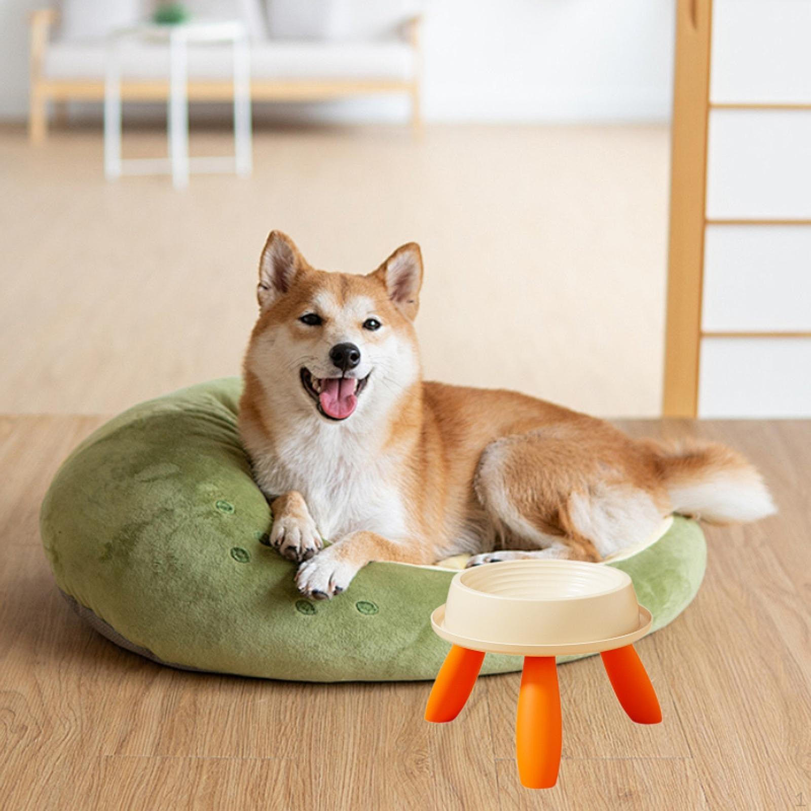 

Миска для кошек с приподнятой подставкой, миска для еды и воды, приподнятый контейнер для закусок для маленьких кошек Beige and Orange