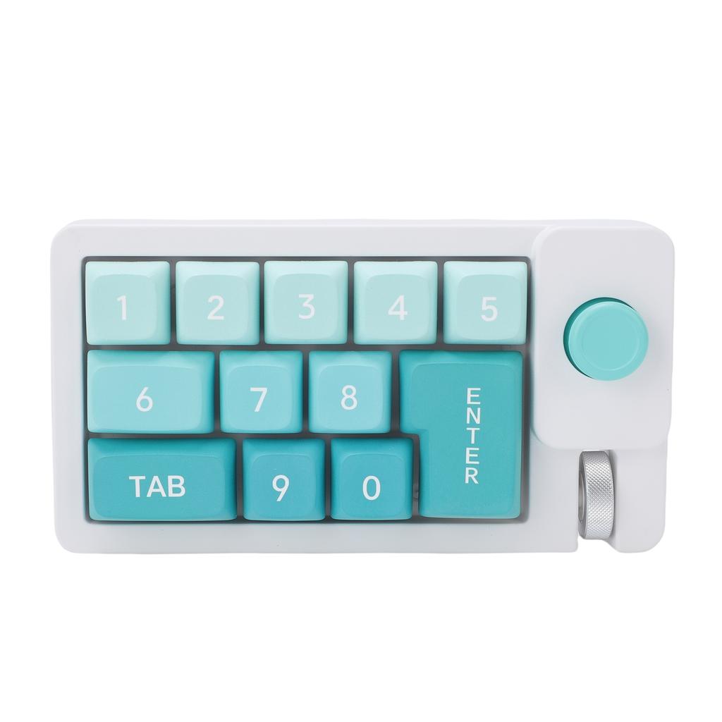 Wired Mechanical Number Pad Type C Hot Swappable Numpad Keyboard with 12 RGB LED Backlight Joystick Roller