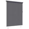 Tenda a Rullo da Esterno Antracite 200 x 250 cm Tessuto e Alluminio