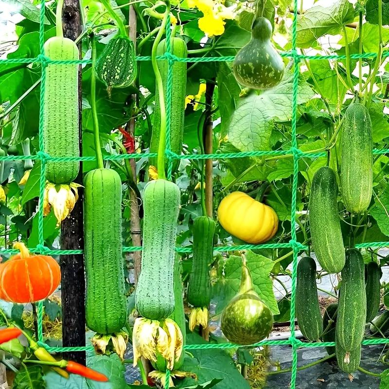 High-quality Garden Climbing Netting Strong PE Plant Trellis for Climbing Plants Loofah Morning Glory Flowers Cucumber Vine