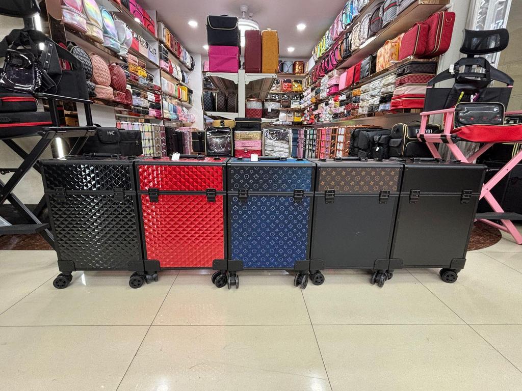 Largest Capacity Wheeled Makeup & Nail Art Case for Professionals