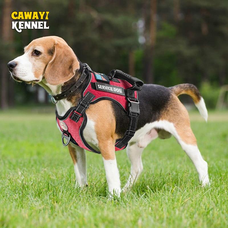 

CAWAYI KENNEL Шлейка для собак + набор поводков Тренировочные прогулочные поводки для маленьких собак Светоотражающий шлейка с ошейником Набор регулируемых поводков