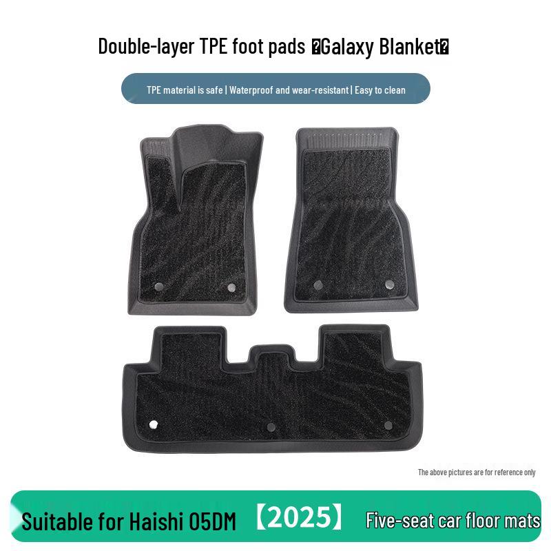 Sea Lion 05DM 2025 TPE Floor Mats: 5-Seater, 3-Piece Set for BYD Car