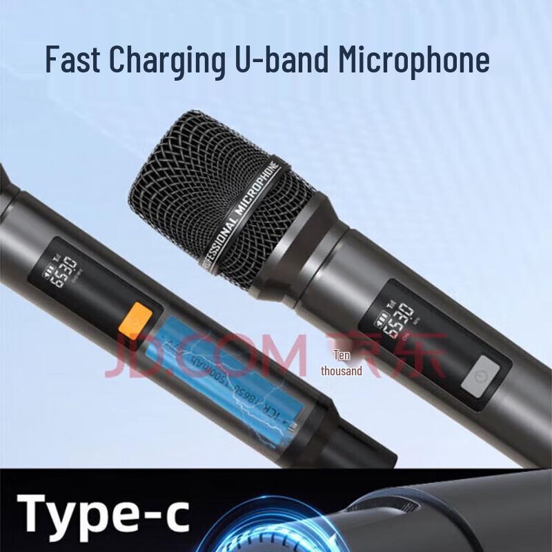 Portable Outdoor Karaoke Speaker System with Display