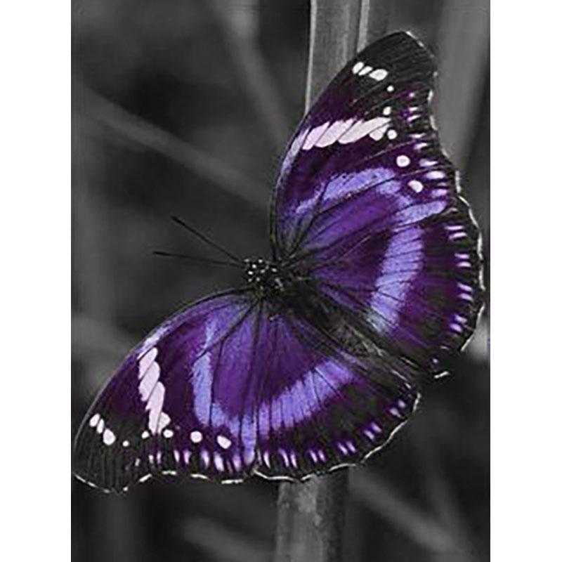 DIY Butterfly 5D Diamond Painting Full Round Drill Cross Ctitch Kits Animal Diamond Embroidery Mosaic Gift Wall Art Home Decor