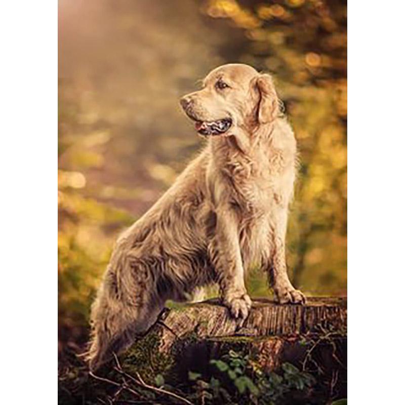DIY 5D Diamond Painting Cross Stitch Full Round Drill Dog Animal Art Mosaic Kits Diamond Embroidery Home Decoration Gift