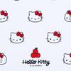 Sanrio Face-Shaped Glasses Case Hello Kitty 588199