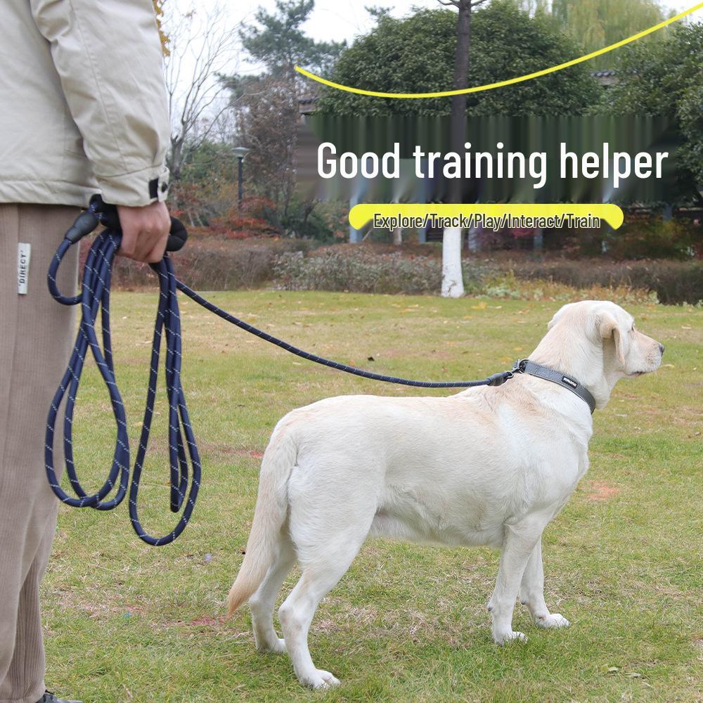 Reflective Nylon Dog Leash Extension for Medium To Large Dogs - Anti-Pull, Outdoor Walking & Tracking Rope