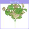 Citriodoraplant For Eucalyptus Party Floral Decor And Arrangements Gift