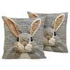 1Pc Easter Bunny Print Cushion Cover Polyester 2D Double-Sided Printing Pillow Cover For Sofa Bedroom Living Room Holiday Gift