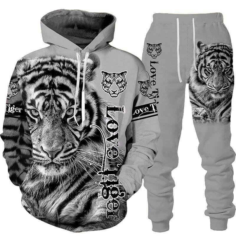 Mens 3D Print Hooded Sweatshirt Set Casual Streetwear Outfit Young Adults