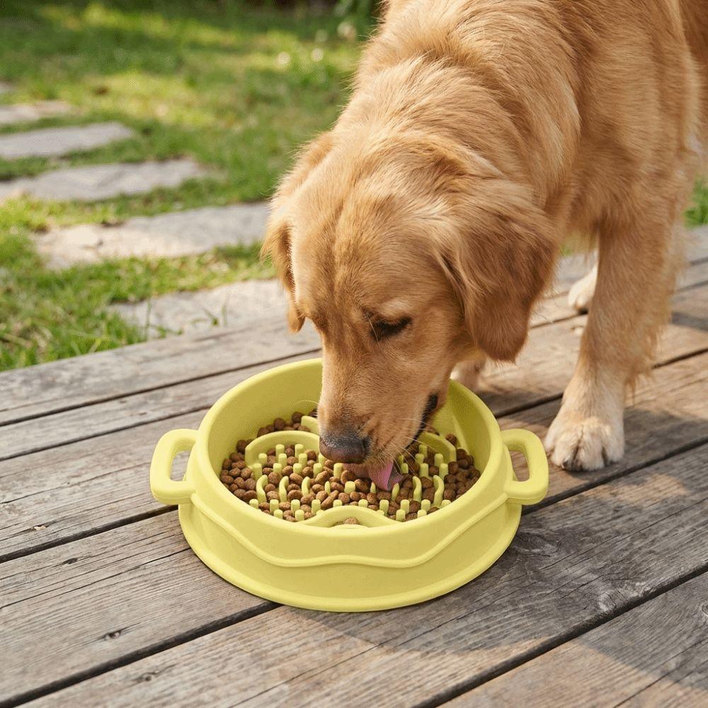 Silicone Dog Slow Feeder Bowl Non-Slip Dog Treat Bowl Colorful Pet Food Dish  Pet Enrichment