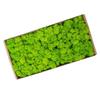 Preserved Moss Gardenning Art Wall Decor Moss Bulk Micro Landscape Decorative Props
