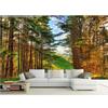 Natural Woodland Landscape Background Living Room Home Decor 3d Wall Murals Wallpaper