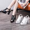 High-heeled sandals women's thick heels 2025 summer new sandals girls Korean version fashionable and sexy sandals women with fish mouth