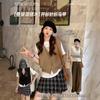 Knitted vest, vest, women's new vest in autumn and winter, stacked with foreign style fashionable sleeveless sweater and jacket