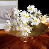 Multi-color Artificial Daisy Flowers Imitation Chrysanthemum Flowers  Bridal Accessories