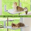 Cat Hammock Glue No Drilling Long Pile 15kg Weight Fall for Pet Cats Wall-Mounted Bed, Only, Required, Foldable, Compact, Double-Sided, & Mesh,