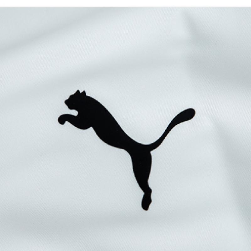 Puma Team Rise Match Day Short Sleeve Tee