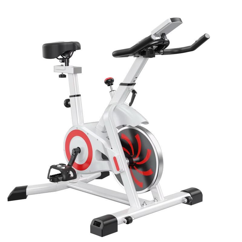 TLXT Home Indoor Spinning Bike CN plug (adapter included)