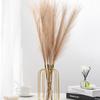 Six-Pronged Artificial Pampas Grass Flowers for Home Decoration and Wedding Props