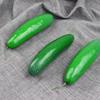 Simulation Cucumber & Bottle Gourd Model - Educational & Photography Props