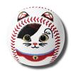 Baseball și softball – Mingi de baseball și softball