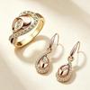 New European and American Women's Jewelry Set Combination, Painting Oil Two-color Ring Earrings Set