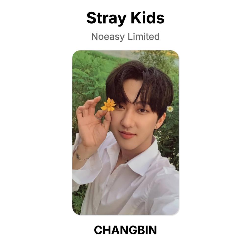 Stray Kids Noeasy Limited Official Photocard