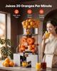Commercial Orange Juicer Machine, 120W Electric Automatic Orange Squeezer, Lemon Citrus Pomegranates Extractor for 20 per Minute, Stainless Steel,