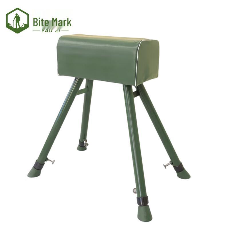 Gymnastics Vaulting Horse