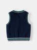 Autumn/Winter Boys' British Style V-Neck Thick Knit Cotton Yarn Sweater Vest