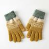 Thickened Touch Screen Gloves Windproof Wool Gloves Fashion Winter Knitted Gloves  for Men Women