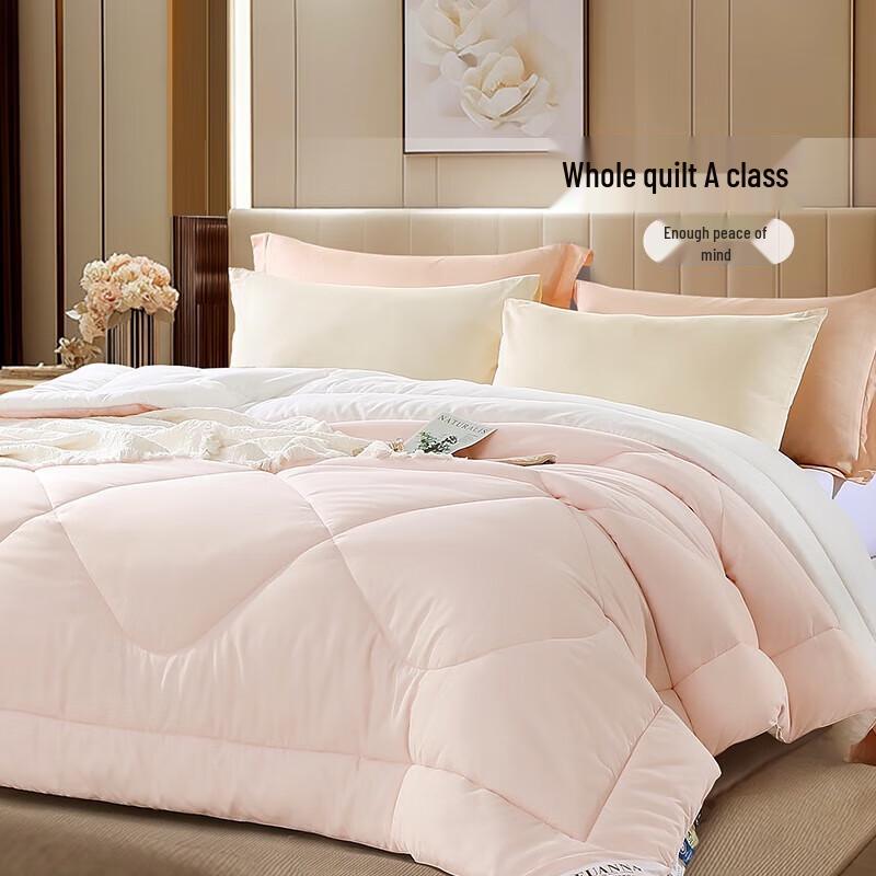 

Fuanna Soft & Fluffy Ten-Hole Fiber Antibacterial Winter Quilt