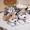 30/40/50CM Cute Puppy Dog Husky Plush Toy Animal Stuffed Doll Home Decoration Birthday Gift