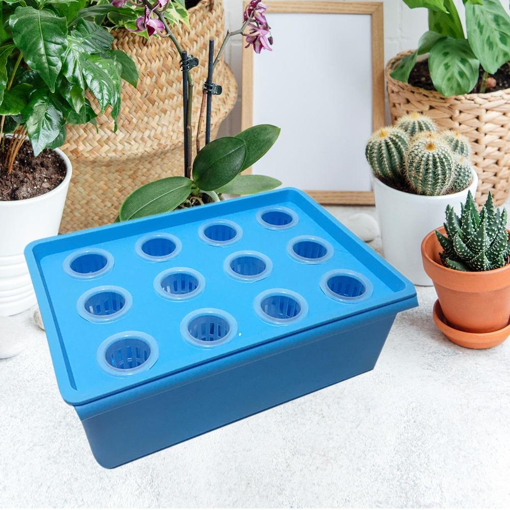 

Soilless Cultivation Balcony Nursery Box Equipment Vegetable Planting Box Hydroponic Grower Box