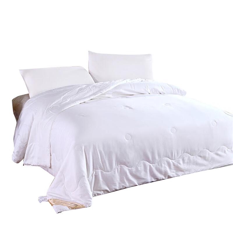 YiYiAi Satin 100% Mulberry Silk Quilt