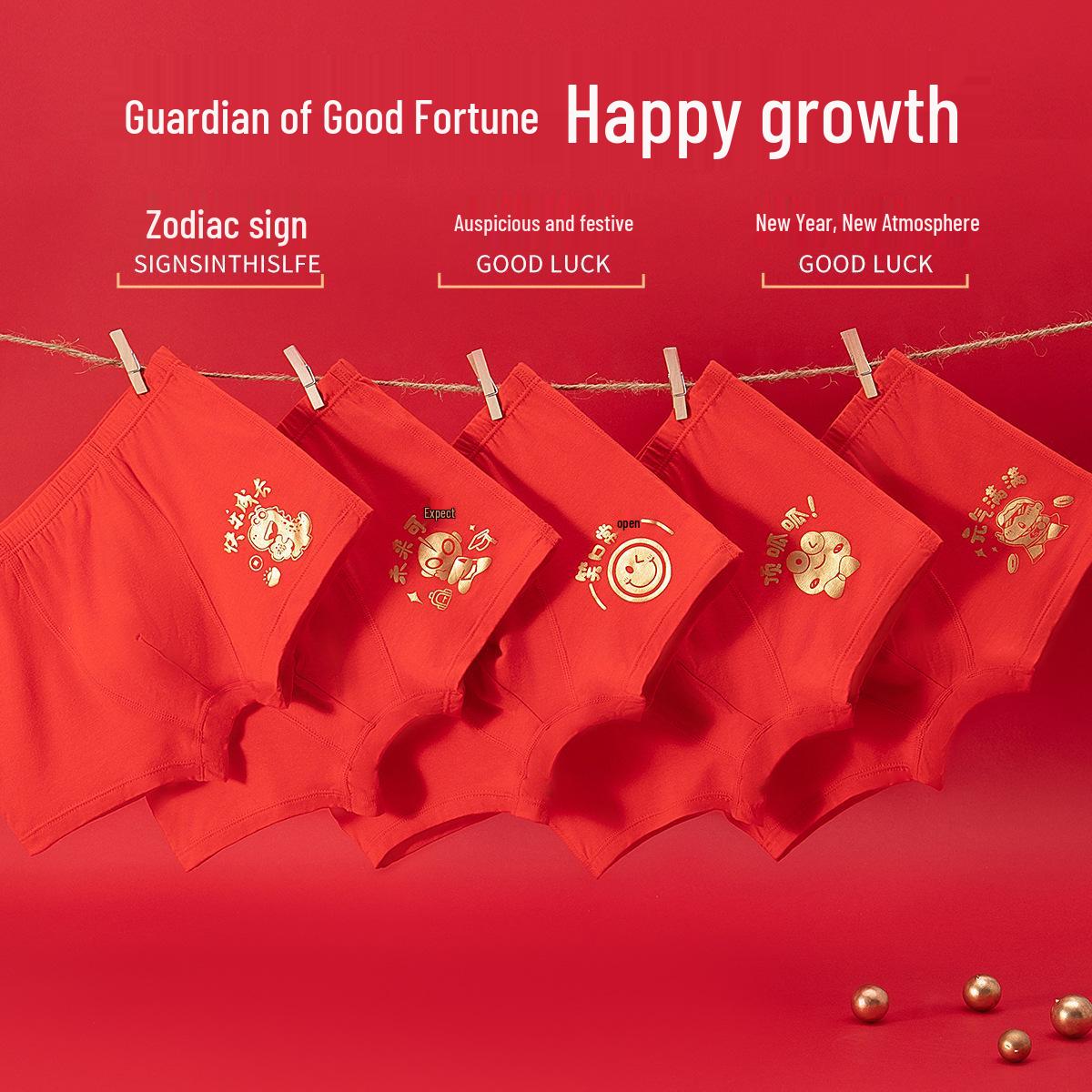 

Красные боксеры Год Лошади для мальчиков - Зодиакальное нижнее белье для возраста 12+ Модальная ткань Size 120: Weight 26-34 lbs, Height 100-115 cm