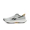 Reebok Floatride Energy 6 'Moon Grey Heritage Gold' Sneakers 100201164