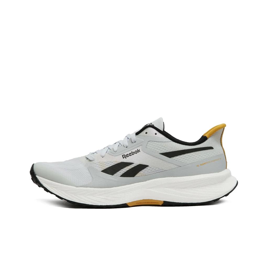 Reebok Floatride Energy 6 'Moon Grey Heritage Gold' Sneakers 100201164