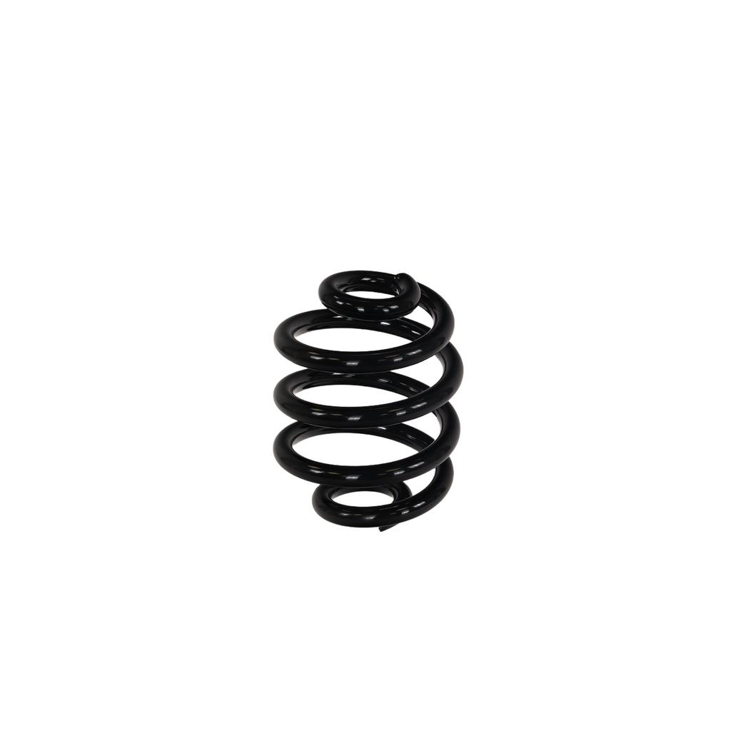 Ft01901 Fast Rear Suspension Spring
