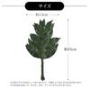 Tokai Seiro Preserved Compact Sakaki Trees, Pair, 25cm, SC-80856