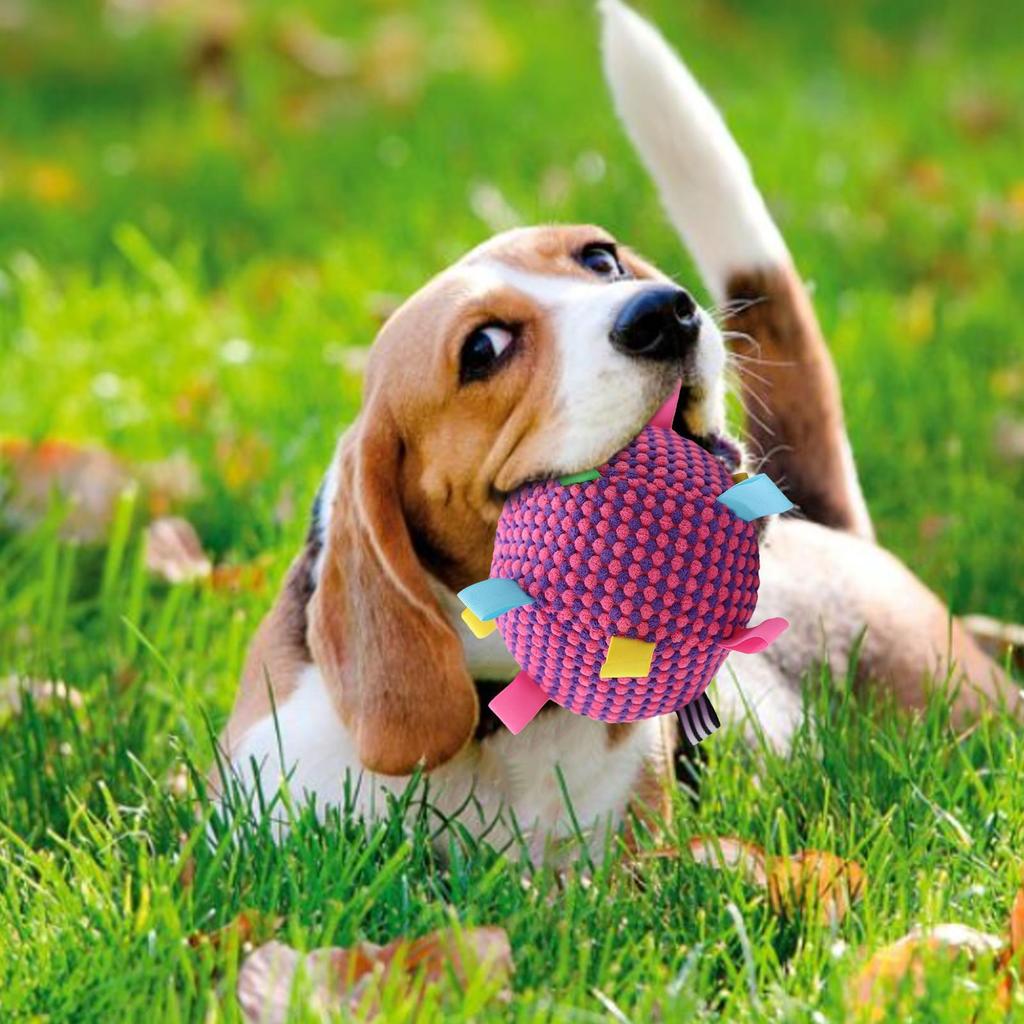 Dog Toy Ball Rolling Ball Dog Toy Soft Squeaky Pet Supplies Game For Kitten Home Outdoor Chewing Training Puppy Indoor Cats