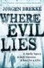 The Where Evil Lies Book
