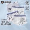 Boys' Ice Silk Underwear