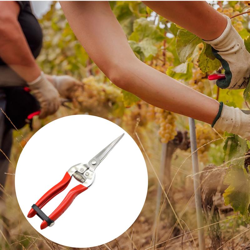 

Секатор для садоводства из нержавеющей стали, ножницы для обрезки растений, кусачки для растений, секаторы для обрезки фруктовых деревьев, винограда CHINA