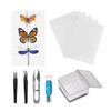 Kit de Entomologia Flexível Ferramentas para Espécimes para Ensino em Sala de Aula Agulha para insetos Placa de espalhamento Ferramenta para Coleta de Borboletas