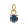 Elegant Gold December Birthstone Pendant Charm Fashion Jewelry Accessories for Women